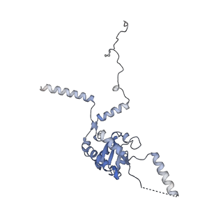 4136_5lzy_G_v1-0
Structure of the mammalian rescue complex with Pelota and Hbs1l assembled on a polyadenylated mRNA.