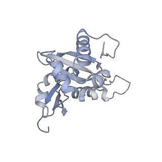 4136_5lzy_HH_v1-0
Structure of the mammalian rescue complex with Pelota and Hbs1l assembled on a polyadenylated mRNA.