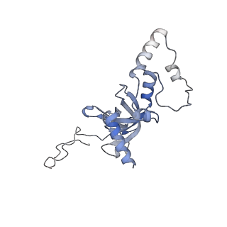 4136_5lzy_II_v2-3
Structure of the mammalian rescue complex with Pelota and Hbs1l assembled on a polyadenylated mRNA.