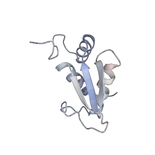 4136_5lzy_KK_v1-0
Structure of the mammalian rescue complex with Pelota and Hbs1l assembled on a polyadenylated mRNA.