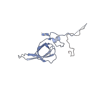 4136_5lzy_LL_v1-0
Structure of the mammalian rescue complex with Pelota and Hbs1l assembled on a polyadenylated mRNA.