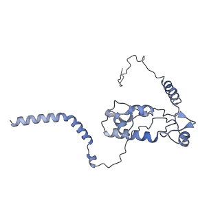 4136_5lzy_L_v1-0
Structure of the mammalian rescue complex with Pelota and Hbs1l assembled on a polyadenylated mRNA.