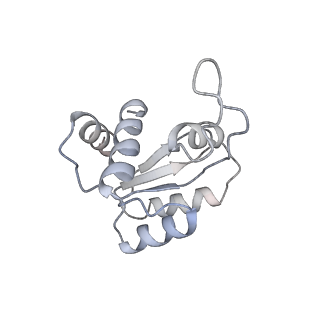 4136_5lzy_MM_v1-0
Structure of the mammalian rescue complex with Pelota and Hbs1l assembled on a polyadenylated mRNA.