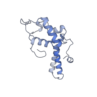 4136_5lzy_NN_v1-0
Structure of the mammalian rescue complex with Pelota and Hbs1l assembled on a polyadenylated mRNA.