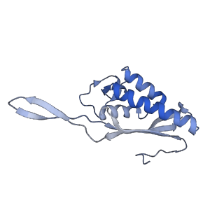 4136_5lzy_P_v1-0
Structure of the mammalian rescue complex with Pelota and Hbs1l assembled on a polyadenylated mRNA.