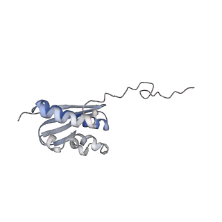 4136_5lzy_QQ_v1-0
Structure of the mammalian rescue complex with Pelota and Hbs1l assembled on a polyadenylated mRNA.