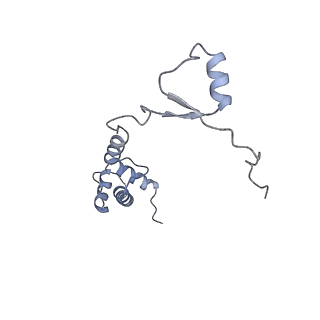4136_5lzy_RR_v1-0
Structure of the mammalian rescue complex with Pelota and Hbs1l assembled on a polyadenylated mRNA.