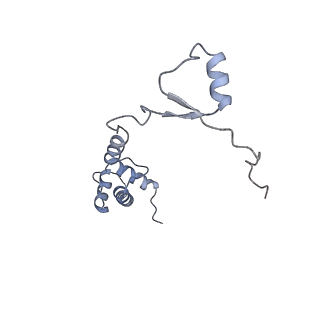 4136_5lzy_RR_v2-3
Structure of the mammalian rescue complex with Pelota and Hbs1l assembled on a polyadenylated mRNA.