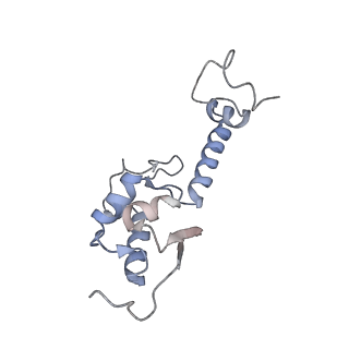 4136_5lzy_SS_v1-0
Structure of the mammalian rescue complex with Pelota and Hbs1l assembled on a polyadenylated mRNA.