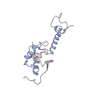 4136_5lzy_SS_v2-3
Structure of the mammalian rescue complex with Pelota and Hbs1l assembled on a polyadenylated mRNA.