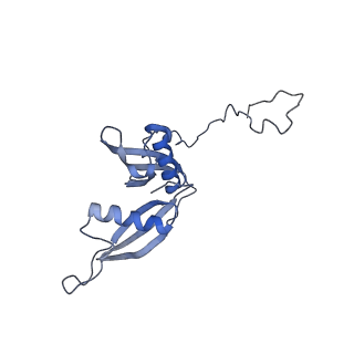 4136_5lzy_S_v1-0
Structure of the mammalian rescue complex with Pelota and Hbs1l assembled on a polyadenylated mRNA.