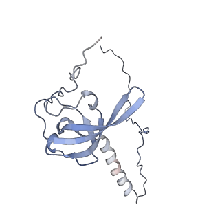 4136_5lzy_T_v1-0
Structure of the mammalian rescue complex with Pelota and Hbs1l assembled on a polyadenylated mRNA.