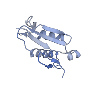 4136_5lzy_U_v1-0
Structure of the mammalian rescue complex with Pelota and Hbs1l assembled on a polyadenylated mRNA.