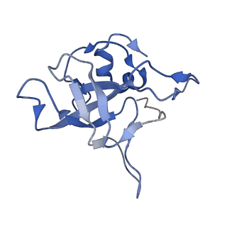4136_5lzy_V_v1-0
Structure of the mammalian rescue complex with Pelota and Hbs1l assembled on a polyadenylated mRNA.