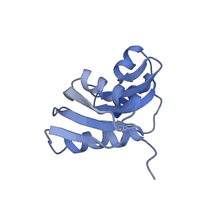4136_5lzy_WW_v1-0
Structure of the mammalian rescue complex with Pelota and Hbs1l assembled on a polyadenylated mRNA.