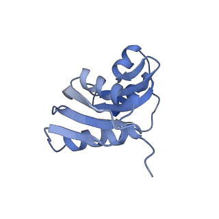 4136_5lzy_WW_v2-3
Structure of the mammalian rescue complex with Pelota and Hbs1l assembled on a polyadenylated mRNA.