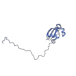 4136_5lzy_X_v1-0
Structure of the mammalian rescue complex with Pelota and Hbs1l assembled on a polyadenylated mRNA.