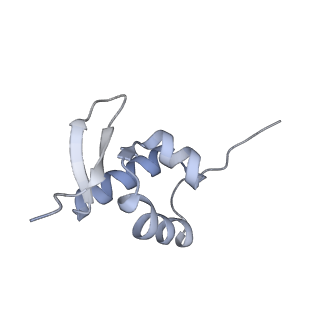 4136_5lzy_ZZ_v1-0
Structure of the mammalian rescue complex with Pelota and Hbs1l assembled on a polyadenylated mRNA.