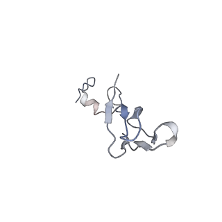4136_5lzy_bb_v2-3
Structure of the mammalian rescue complex with Pelota and Hbs1l assembled on a polyadenylated mRNA.