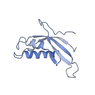 4136_5lzy_d_v1-0
Structure of the mammalian rescue complex with Pelota and Hbs1l assembled on a polyadenylated mRNA.