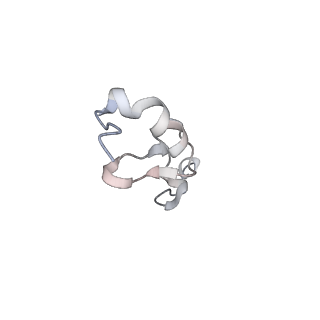 4136_5lzy_dd_v1-0
Structure of the mammalian rescue complex with Pelota and Hbs1l assembled on a polyadenylated mRNA.