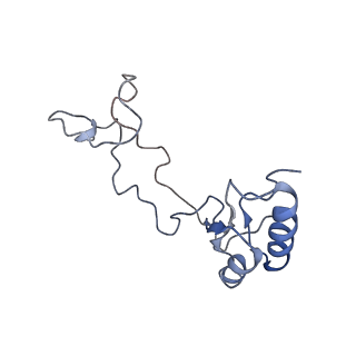 4136_5lzy_e_v1-0
Structure of the mammalian rescue complex with Pelota and Hbs1l assembled on a polyadenylated mRNA.