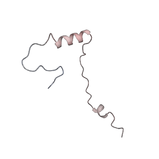 4136_5lzy_ee_v1-0
Structure of the mammalian rescue complex with Pelota and Hbs1l assembled on a polyadenylated mRNA.