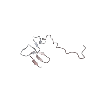 4136_5lzy_ff_v1-0
Structure of the mammalian rescue complex with Pelota and Hbs1l assembled on a polyadenylated mRNA.