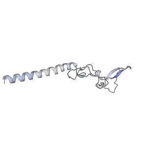 4136_5lzy_g_v1-0
Structure of the mammalian rescue complex with Pelota and Hbs1l assembled on a polyadenylated mRNA.