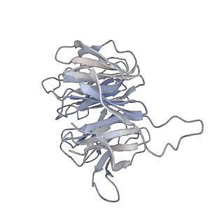 4136_5lzy_gg_v1-0
Structure of the mammalian rescue complex with Pelota and Hbs1l assembled on a polyadenylated mRNA.