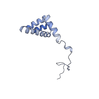 4136_5lzy_i_v1-0
Structure of the mammalian rescue complex with Pelota and Hbs1l assembled on a polyadenylated mRNA.