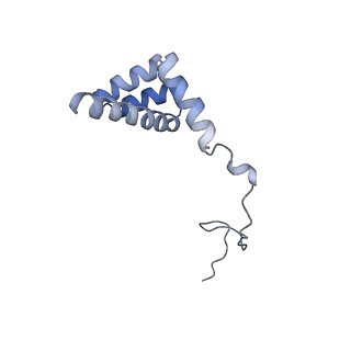 4136_5lzy_i_v2-3
Structure of the mammalian rescue complex with Pelota and Hbs1l assembled on a polyadenylated mRNA.