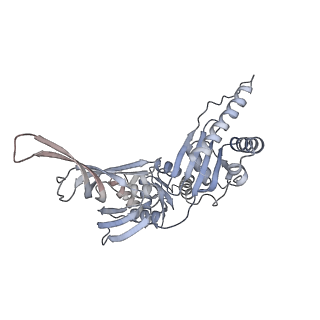4136_5lzy_ii_v1-0
Structure of the mammalian rescue complex with Pelota and Hbs1l assembled on a polyadenylated mRNA.