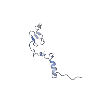 4136_5lzy_j_v1-0
Structure of the mammalian rescue complex with Pelota and Hbs1l assembled on a polyadenylated mRNA.