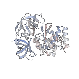 4136_5lzy_jj_v2-3
Structure of the mammalian rescue complex with Pelota and Hbs1l assembled on a polyadenylated mRNA.