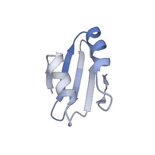 4136_5lzy_k_v1-0
Structure of the mammalian rescue complex with Pelota and Hbs1l assembled on a polyadenylated mRNA.