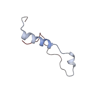 4136_5lzy_l_v1-0
Structure of the mammalian rescue complex with Pelota and Hbs1l assembled on a polyadenylated mRNA.