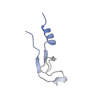 4136_5lzy_m_v1-0
Structure of the mammalian rescue complex with Pelota and Hbs1l assembled on a polyadenylated mRNA.