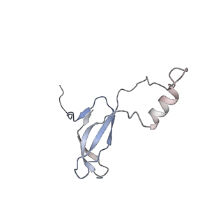 4136_5lzy_o_v1-0
Structure of the mammalian rescue complex with Pelota and Hbs1l assembled on a polyadenylated mRNA.