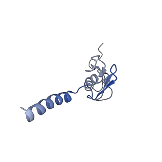 4136_5lzy_p_v1-0
Structure of the mammalian rescue complex with Pelota and Hbs1l assembled on a polyadenylated mRNA.