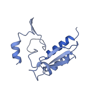 4136_5lzy_r_v1-0
Structure of the mammalian rescue complex with Pelota and Hbs1l assembled on a polyadenylated mRNA.