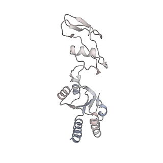 4136_5lzy_s_v1-0
Structure of the mammalian rescue complex with Pelota and Hbs1l assembled on a polyadenylated mRNA.