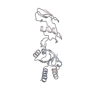 4136_5lzy_s_v2-3
Structure of the mammalian rescue complex with Pelota and Hbs1l assembled on a polyadenylated mRNA.