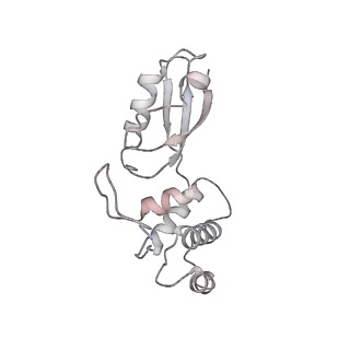 4136_5lzy_t_v1-0
Structure of the mammalian rescue complex with Pelota and Hbs1l assembled on a polyadenylated mRNA.