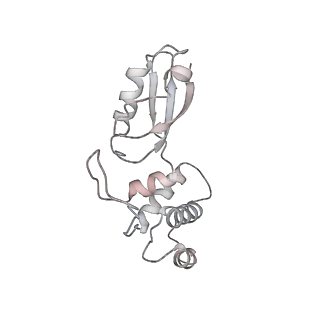 4136_5lzy_t_v2-3
Structure of the mammalian rescue complex with Pelota and Hbs1l assembled on a polyadenylated mRNA.