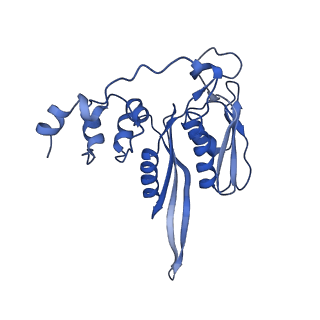 4137_5lzz_CC_v1-3
Structure of the mammalian rescue complex with Pelota and Hbs1l (combined)