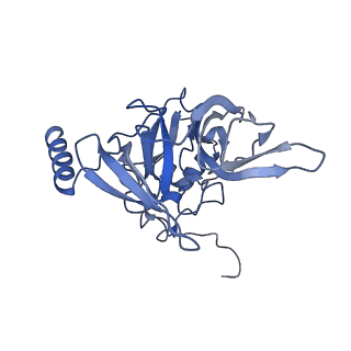 4137_5lzz_EE_v1-3
Structure of the mammalian rescue complex with Pelota and Hbs1l (combined)