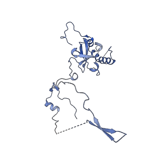 4137_5lzz_E_v1-3
Structure of the mammalian rescue complex with Pelota and Hbs1l (combined)