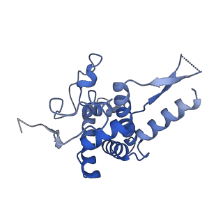 4137_5lzz_FF_v1-3
Structure of the mammalian rescue complex with Pelota and Hbs1l (combined)