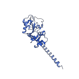 4137_5lzz_F_v1-3
Structure of the mammalian rescue complex with Pelota and Hbs1l (combined)